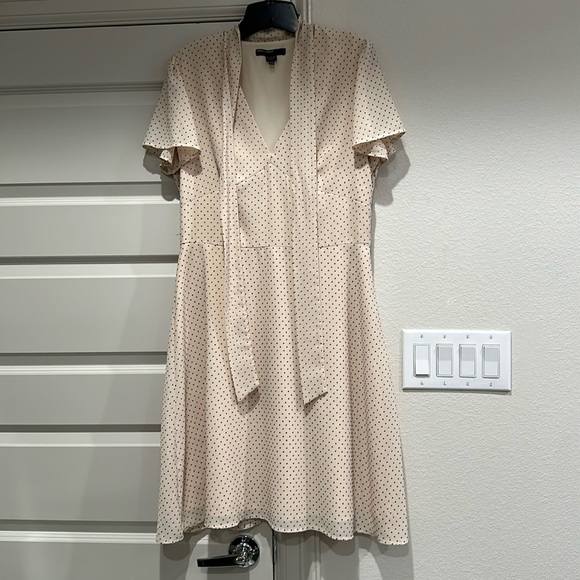 Maggy London Dress 12 Polka Dot Beige EUC - Picture 3 of 12